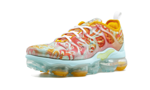 nike-air-vapormax CD7009-300