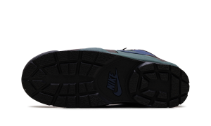 nike-baltoro IH4450-200