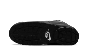 nike-baltoro HV0484-001