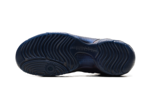 nike-air-flightposite HJ4481-900