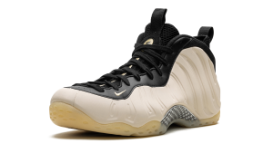 nike-air-foamposite FD5855-002