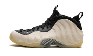 nike-air-foamposite FD5855-002
