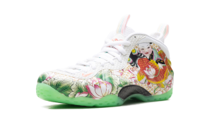 nike-air-foamposite IR2078-100