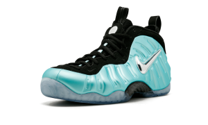nike-air-foamposite 624041-303