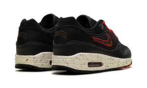 nike-air-max IQ2893-001