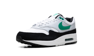 nike-air-max FN6952-100