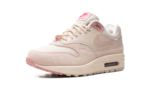 nike-air-max FN6941-200