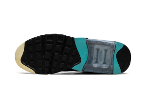 nike-air-max FJ9259-001