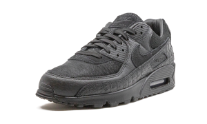 nike-air-max CZ5588-002