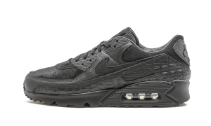 nike-air-max CZ5588-002