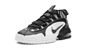 nike-air-max FD0783-010