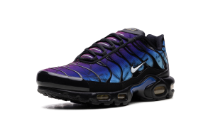 nike-air-max FV0393-001