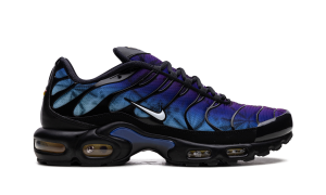nike-air-max FV0393-001