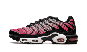Nike Air Max Plus “All Day” (HF3837-600)