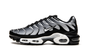 Nike Air Max Plus “Black / Silver” (DM0032-003)