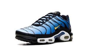 nike-air-max DX0755-001