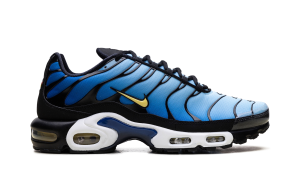 nike-air-max DX0755-001