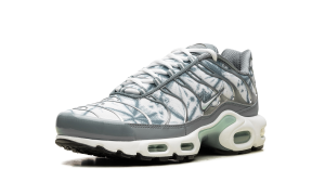 nike-air-max FV0394-300