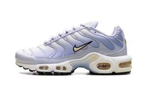 Nike Air Max Plus “Daybreak” (DZ3670-004)