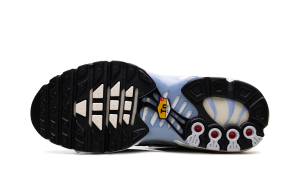 nike-air-max DZ3670-004