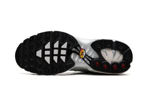 nike-air-max FV8480-002