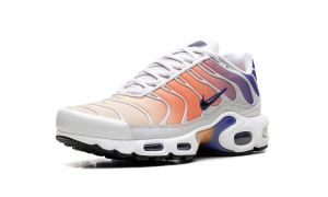 nike-air-max DZ3670-003