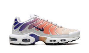nike-air-max DZ3670-003