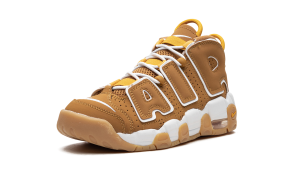 nike-air-more-uptempo DQ4713-700