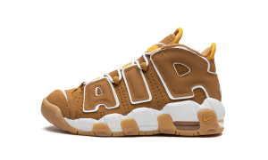 nike-air-more-uptempo DQ4713-700