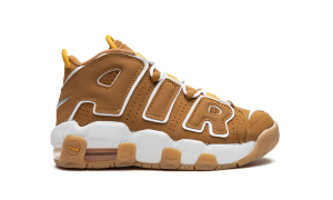 nike-air-more-uptempo DQ4713-700