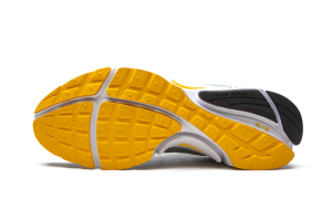 nike-air-presto CJ1229-301