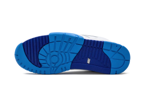 air-jordan-trainer-1 DR9997-100