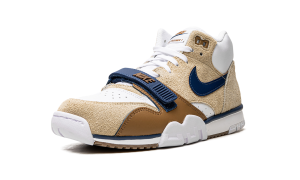 air-jordan-trainer-1 DM0522-200