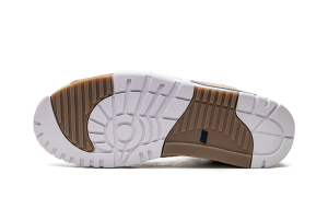 air-jordan-trainer-1 DM0522-200