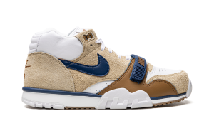 air-jordan-trainer-1 DM0522-200
