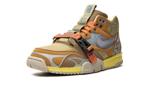 air-jordan-trainer-1 DH7338-300
