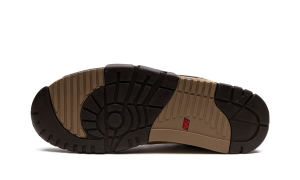 air-jordan-trainer-1 DV6998-200