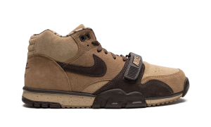 air-jordan-trainer-1 DV6998-200