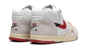 air-jordan-trainer-1 DZ2547-100