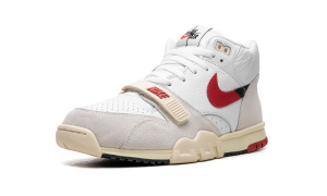 air-jordan-trainer-1 DZ2547-100