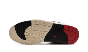 air-jordan-trainer-1 DZ2547-100