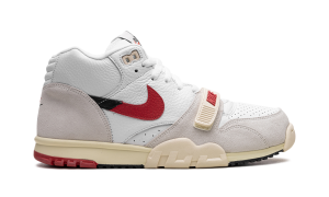 air-jordan-trainer-1 DZ2547-100