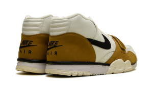 air-jordan-trainer-1 FQ8225-100