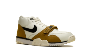 air-jordan-trainer-1 FQ8225-100