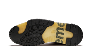 nike-air-trainer 317646-661