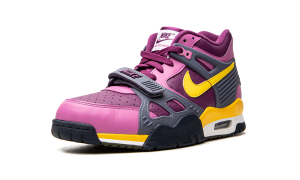 nike-air-trainer CZ6393-500