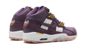 nike-air-trainer IQ5796-500