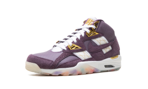 nike-air-trainer IQ5796-500