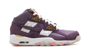 nike-air-trainer IQ5796-500
