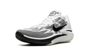 nike-air-zoom FJ8915-100